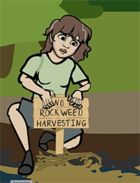 sign no rockweed harvesting